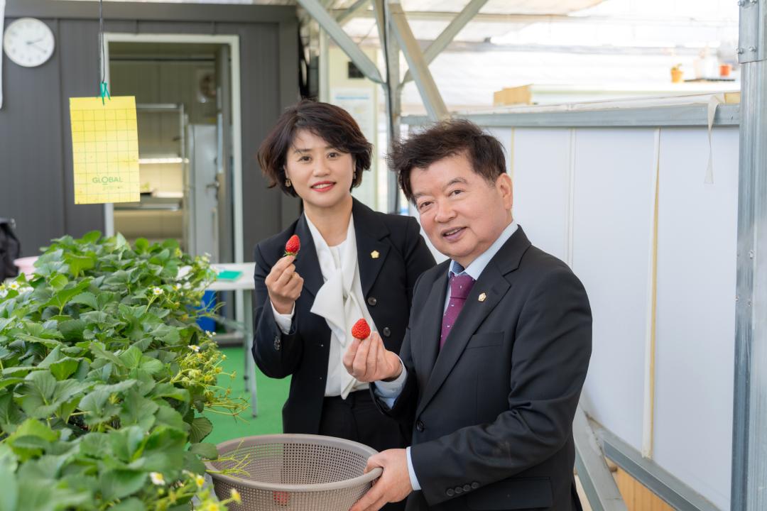 2025년 세곡천 힐링텃밭 개장식 (30).jpg