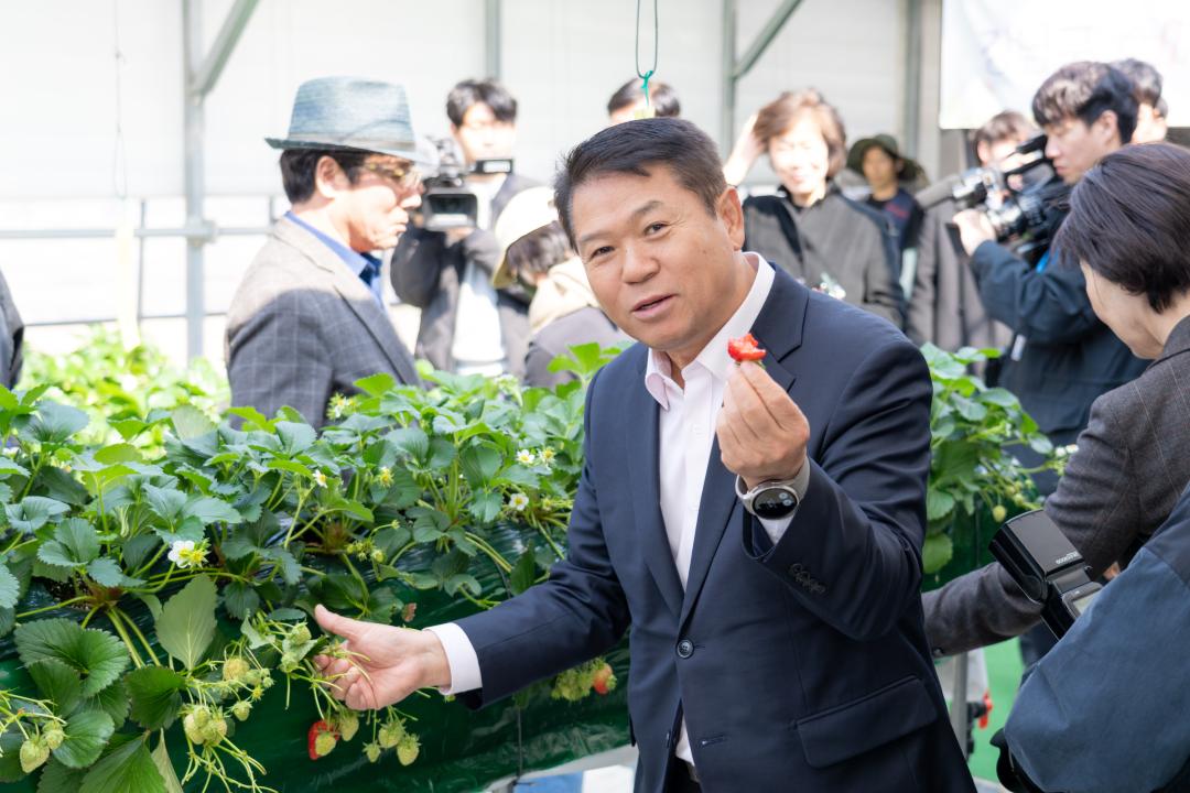 2025년 세곡천 힐링텃밭 개장식 (26).jpg