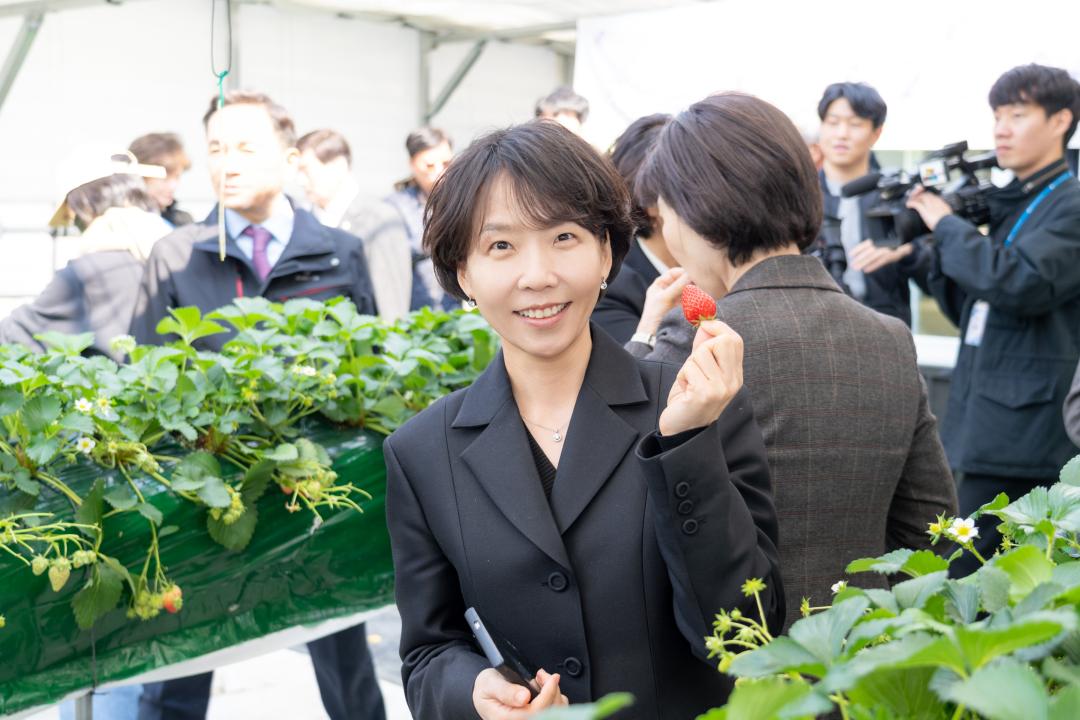 2025년 세곡천 힐링텃밭 개장식 (27).jpg