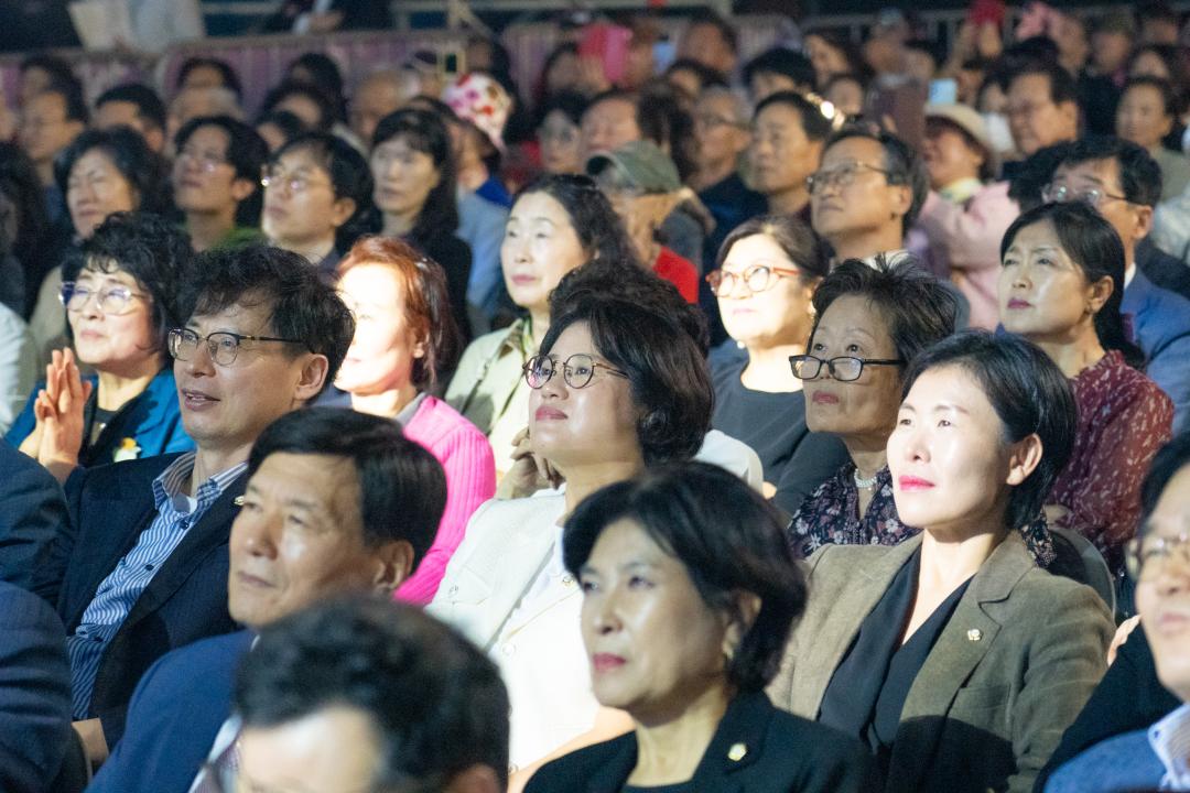 강남페스티벌 개막제 (20).jpg
