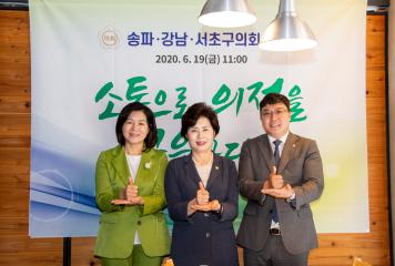 강남서초송파구의회 정기간담회