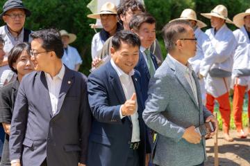 2025 양재천 전통모내기행사